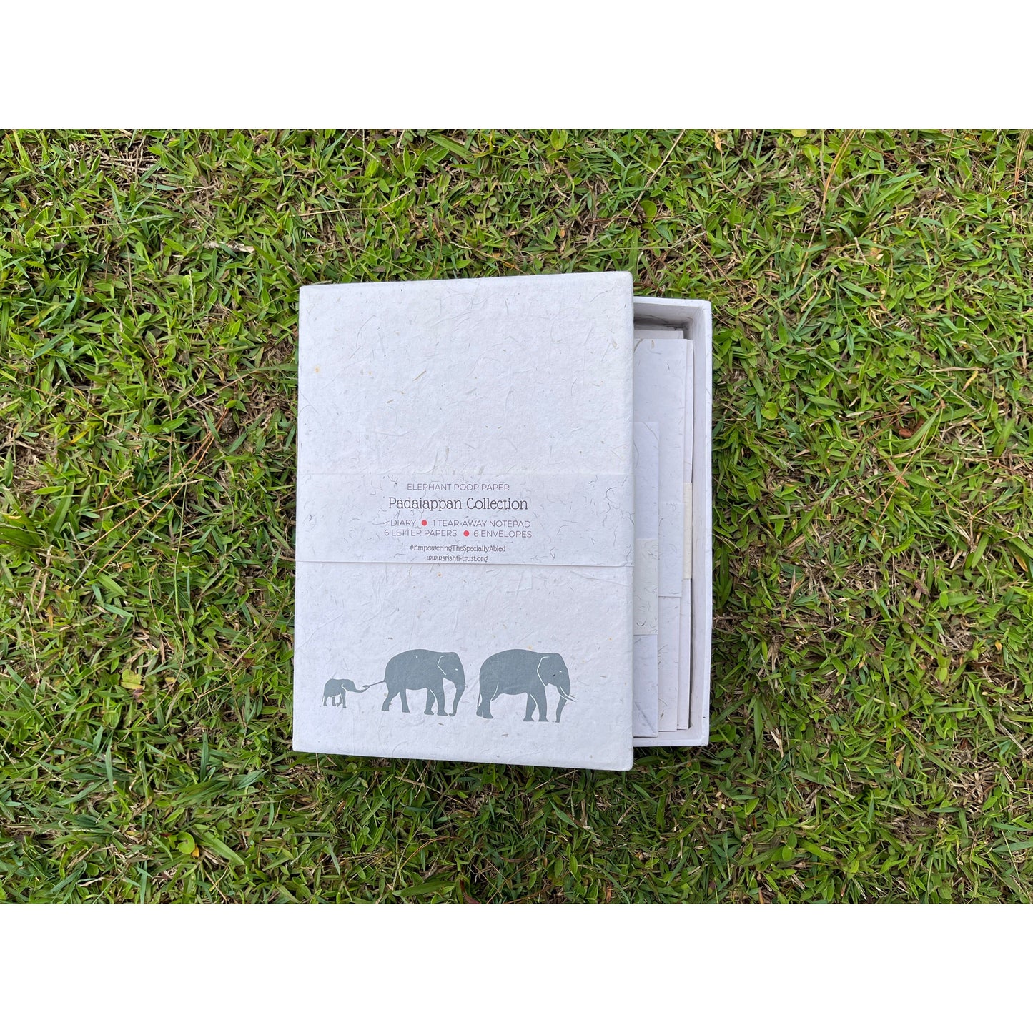 Padaiappan Wild Elephant Series