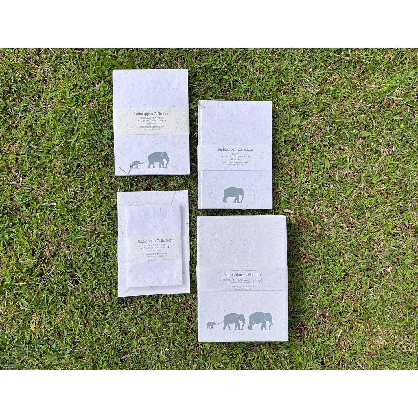 Padaiappan Wild Elephant Series