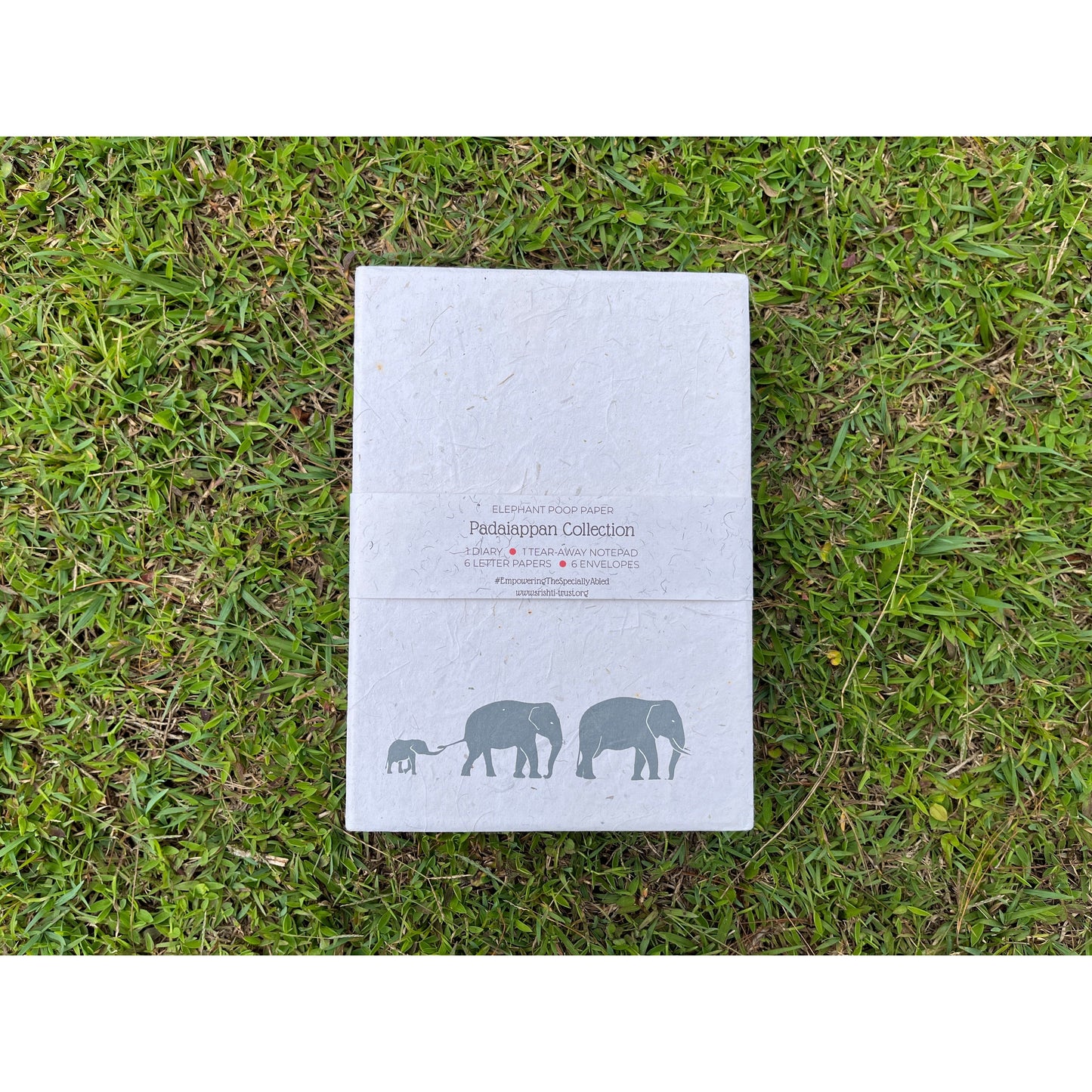 Padaiappan Wild Elephant Series