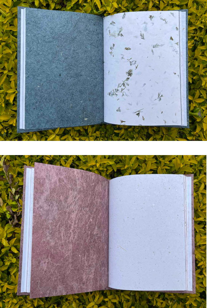 Natural Fiber Diaries