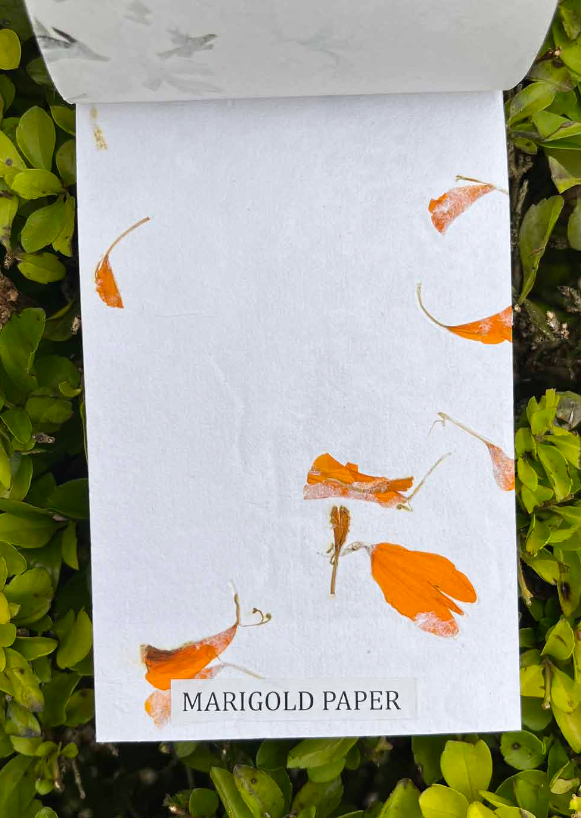 Writing Note Pad