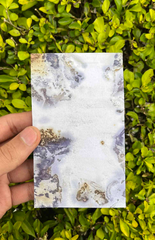 Writing Note Pad