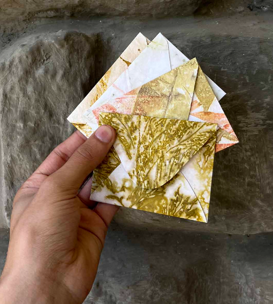 Thank You Notes