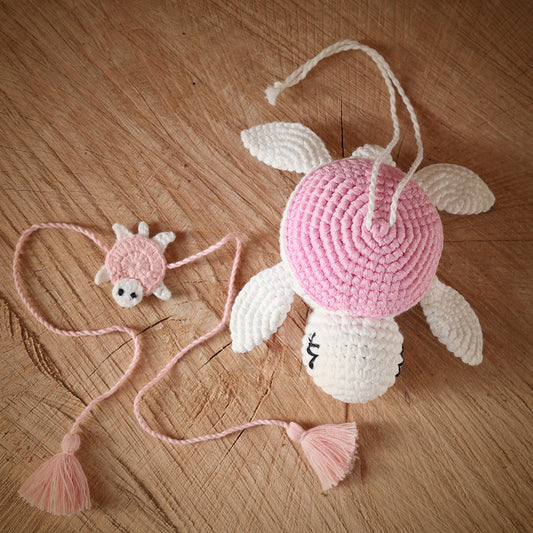Turtle & Turtle Rakhi (RAKHI + TURTLE COMBO)